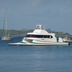 3. Bad Kitty Boat Cruise